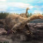 calgary-paleontologist-part-of-discovery-of-new-dinosaur-with-30-centimetre-claws