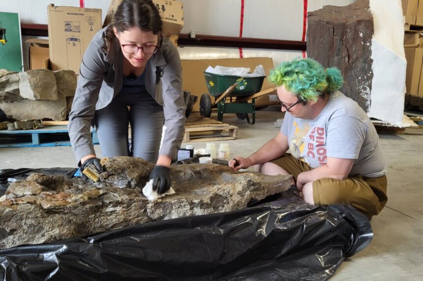 bc-researchers-confirm-footprints-of-three-toed-dinosaur-with-club-like-tail