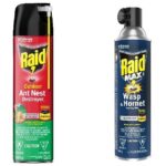 raid-ant,-wasp-spray-recalled-over-concern-cans-could-leak