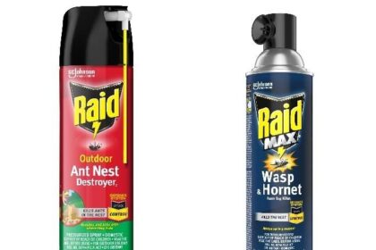 raid-ant,-wasp-spray-recalled-over-concern-cans-could-leak