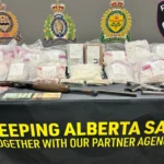 police-seize-$800,000-worth-of-drugs-in-alberta-traffic-stop