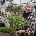 digging-for-savings?-gardening-experts-advise-patience,-planning-when-growing-food