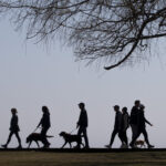 3-people-arrested-after-teen’s-puppy-snatched-while-out-for-a-walk