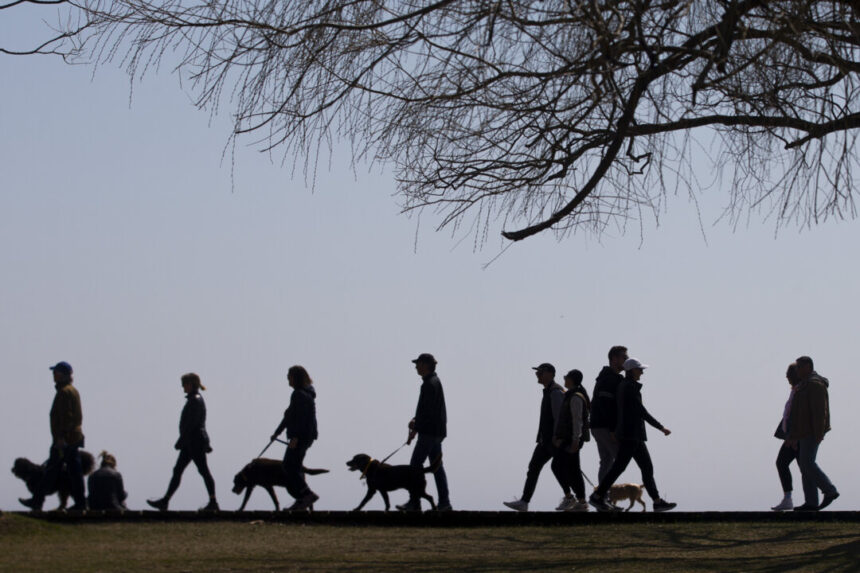 3-people-arrested-after-teen’s-puppy-snatched-while-out-for-a-walk