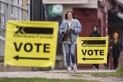 election-2025:-which-prominent-mps-lost,-how-star-candidates-fared