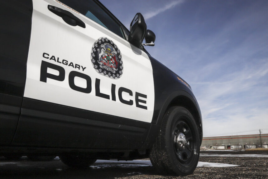 man-assaulted-after-using-dating-app-to-meet-calgarians-posing-as-minors,-police-say
