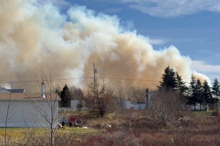 homes-destroyed,-people-fleeing-as-wildfires-rage-in-eastern-newfoundland