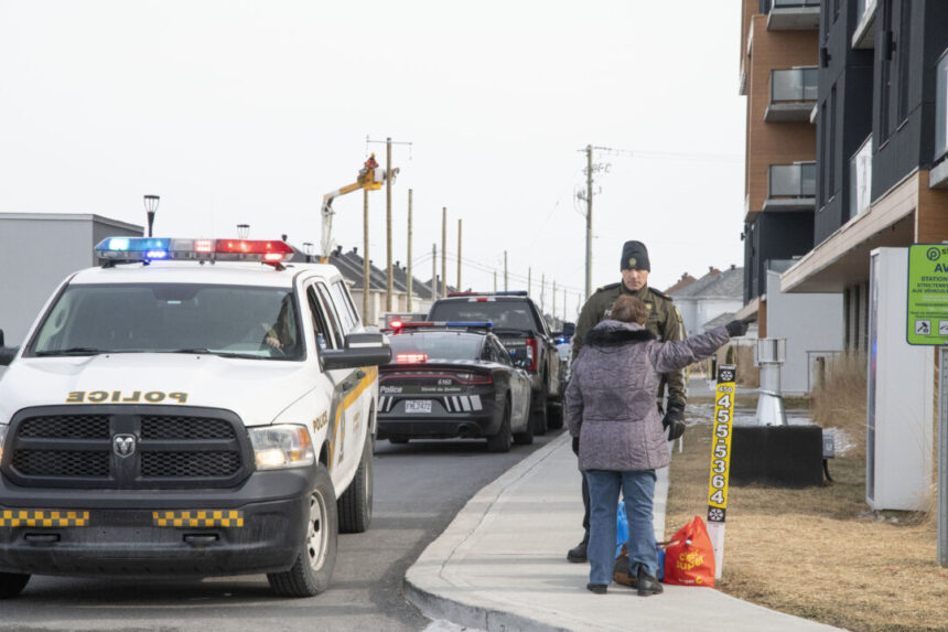 quebecer-who-stabbed-to-death-mother-and-a-neighbour-found-not-criminally-responsible
