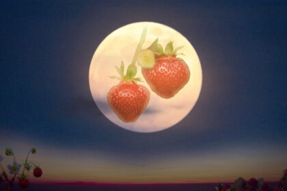 full-‘strawberry-moon’-in-june—what-it-means-and-how-it-got-its-name