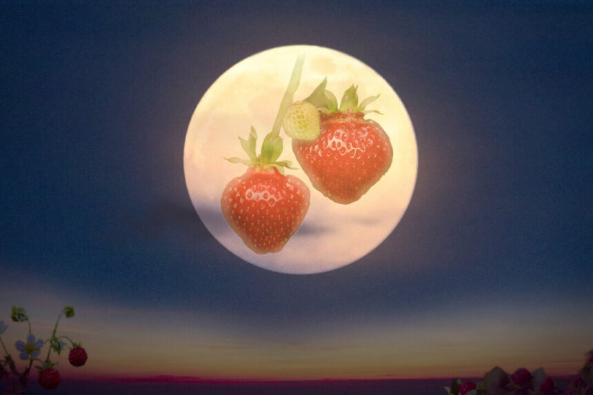 full-‘strawberry-moon’-in-june—what-it-means-and-how-it-got-its-name