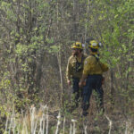 rain-provides-respite-in-manitoba-wildfire-fight,-but-evacuation-order-still-in-place