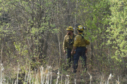 rain-provides-respite-in-manitoba-wildfire-fight,-but-evacuation-order-still-in-place