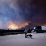 sask.-premier-moe-seeks-us-help-as-wildfires-rage-across-western-provinces