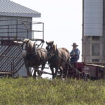 $38,000-fines-waived-for-ontario-amish-families-convicted-for-not-using-arrivecan-app
