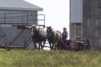 $38,000-fines-waived-for-ontario-amish-families-convicted-for-not-using-arrivecan-app