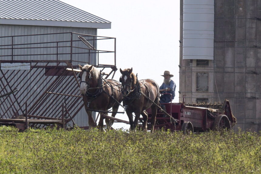$38,000-fines-waived-for-ontario-amish-families-convicted-for-not-using-arrivecan-app