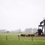 alberta-reduces-inspection-stops-for-oilfield-rigs-in-new-agreement