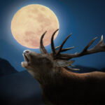 a-rust-red-full-‘buck-moon’-will-occur-in-mid-summer—but-what-does-it-mean?
