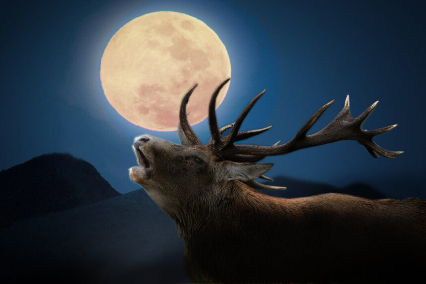 a-rust-red-full-‘buck-moon’-will-occur-in-mid-summer—but-what-does-it-mean?