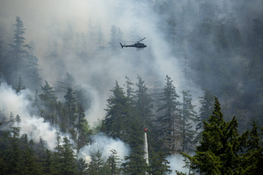 state-of-emergency-declared-in-squamish,-bc-as-wildfire-risks-mount