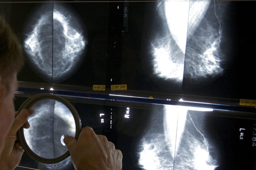health-screening-task-force-to-re-launch-next-spring-after-report-calls-for-reform