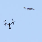 drones-and-contraband-pose-everyday-challenges-in-quebec-detention-centres