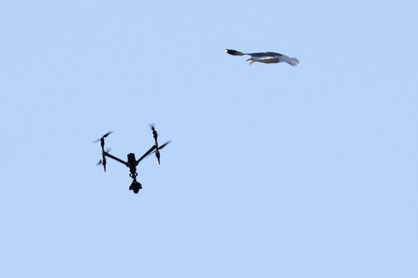 drones-and-contraband-pose-everyday-challenges-in-quebec-detention-centres