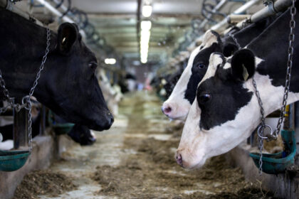 senate-approves-legislation-that-makes-supply-management-off-limits-in-trade-negotiations