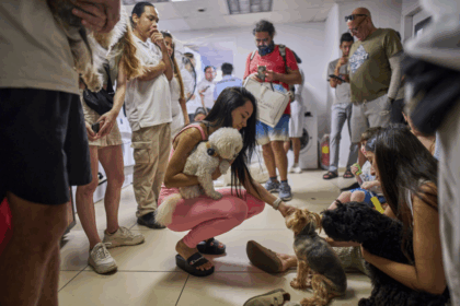 ottawa-begins-evacuating-canadians-from-middle-east