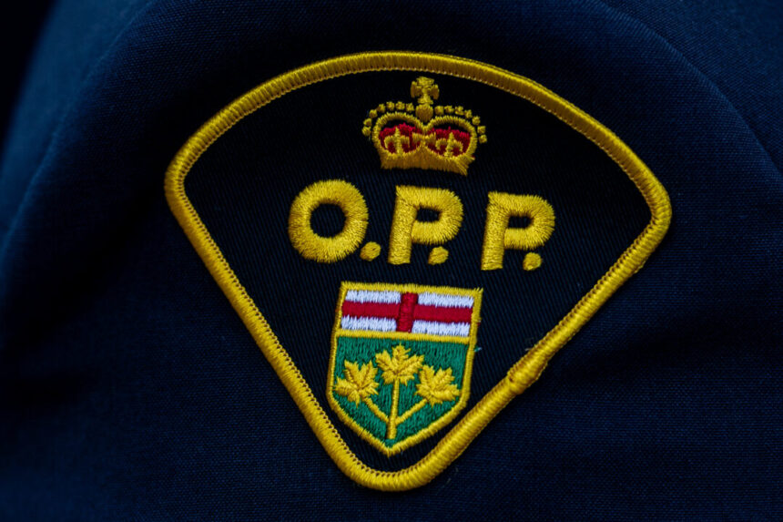 ontario-community-grieving-after-‘vibrant’-9-year-old-dies-following-collision-with-school-bus
