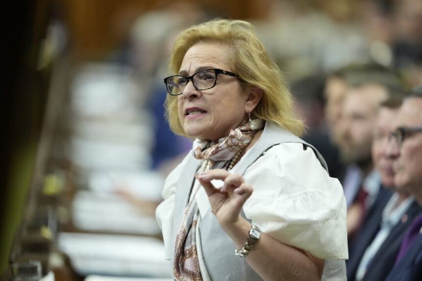federal-minister-plans-to-hold-consultations-this-summer-on-immigration-intake