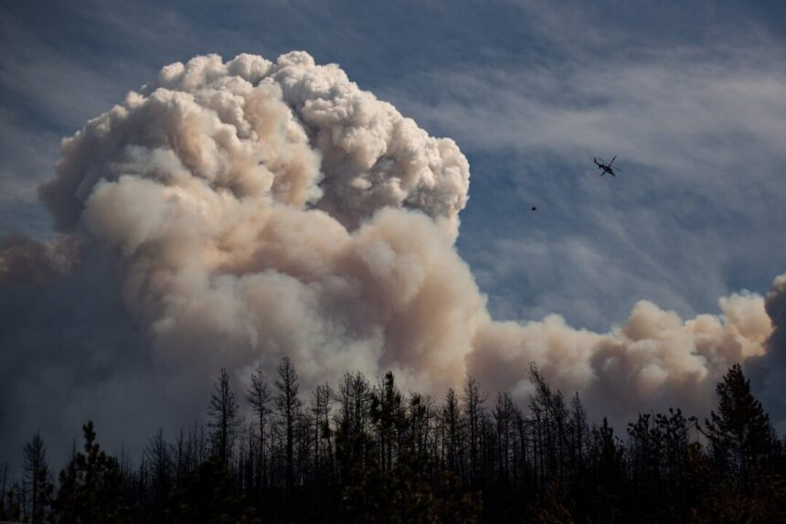 state-of-local-emergency,-evacuation-orders-near-lytton,-bc,-due-to-wildfires