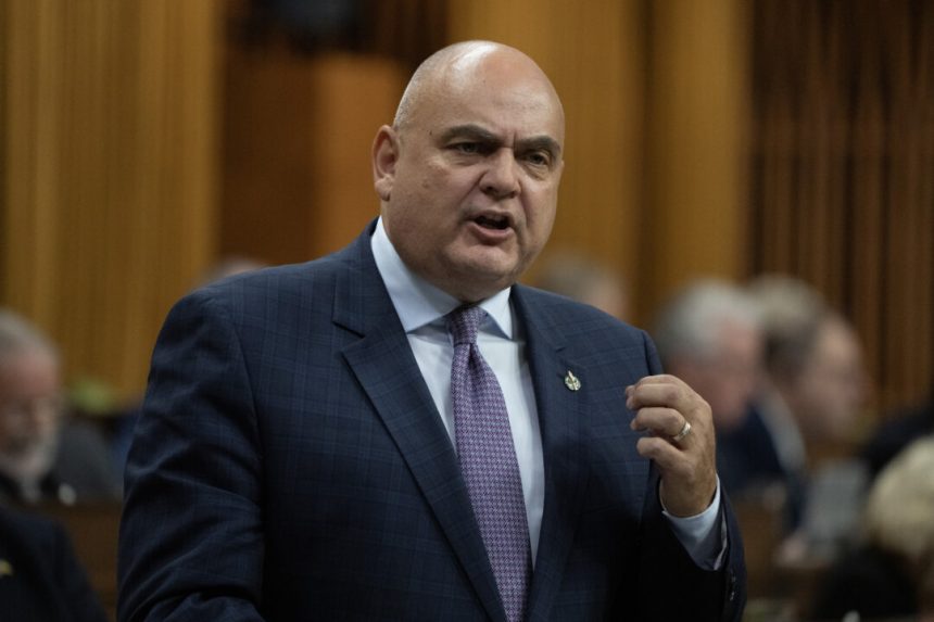 tory-mp-launches-petition-to-reform-canada’s-bail-system
