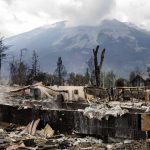 forester-who-warned-of-jasper-wildfires-says-more-action-needed-to-rehabilitate-affected-areas