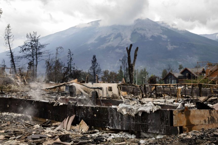 forester-who-warned-of-jasper-wildfires-says-more-action-needed-to-rehabilitate-affected-areas