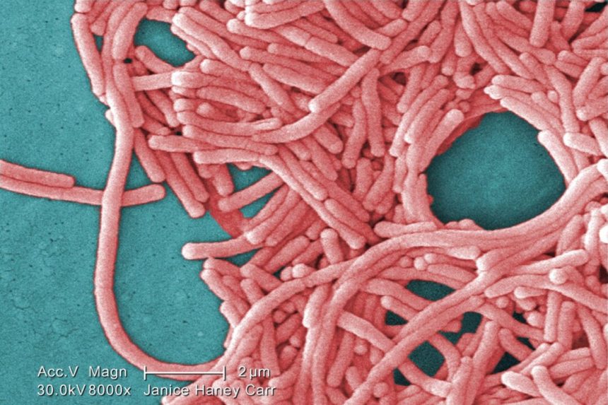 legionnaires’-disease-outbreak-leaves-one-dead,-more-than-40-infected-in-london,-ontario