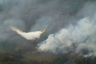 us-congressmen-call-on-canada-to-improve-forest-management-as-states-affected-by-wildfire-smoke