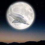 full-‘sturgeon’-moon-will-join-a-stunning-planetary-alignment-next-month—what-to-know