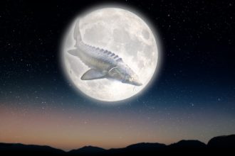 full-‘sturgeon’-moon-will-join-a-stunning-planetary-alignment-next-month—what-to-know