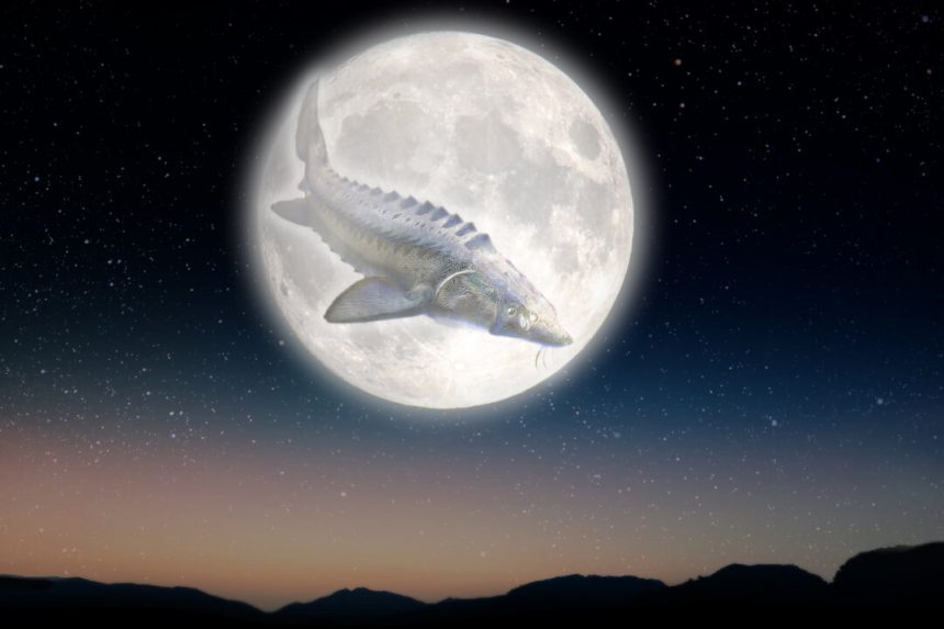 full-‘sturgeon’-moon-will-join-a-stunning-planetary-alignment-next-month—what-to-know