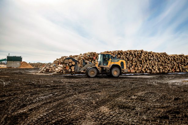 what’s-behind-the-us–canada-lumber-feud?