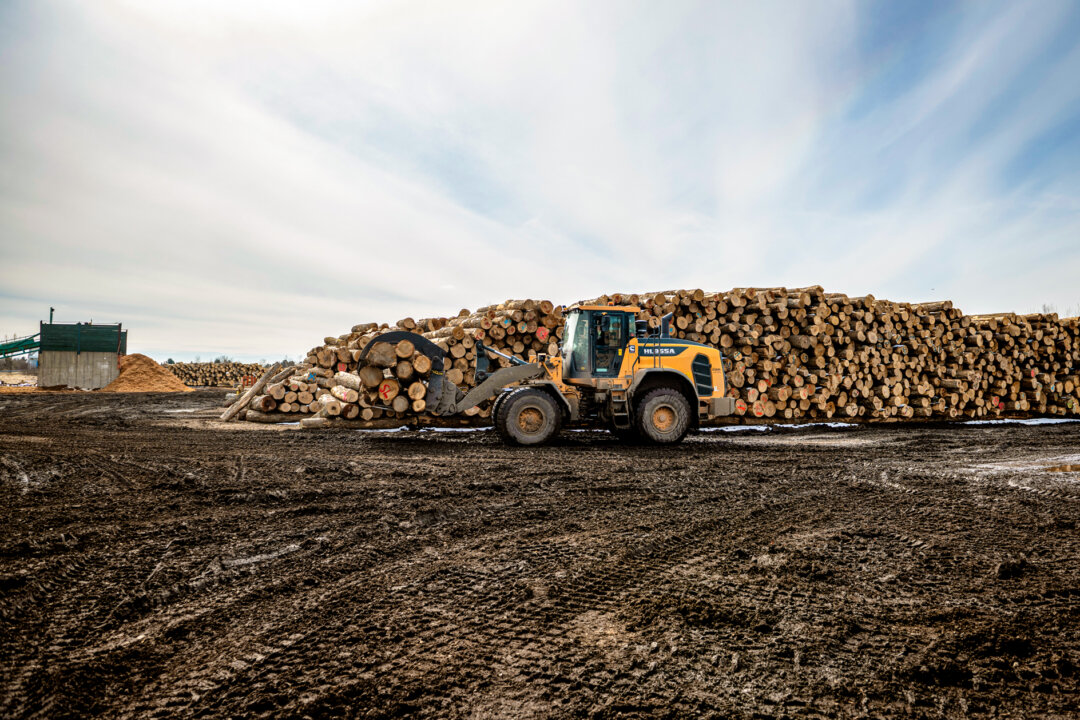 what’s-behind-the-us–canada-lumber-feud?