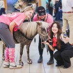 vancouver-airport-introduces-‘therapy-ponies’-to-reduce-passenger-anxiety