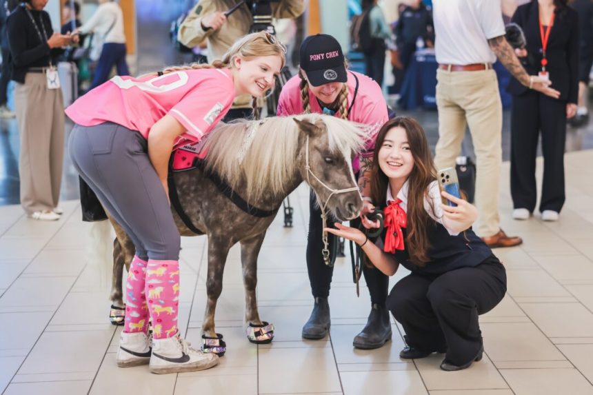 vancouver-airport-introduces-‘therapy-ponies’-to-reduce-passenger-anxiety