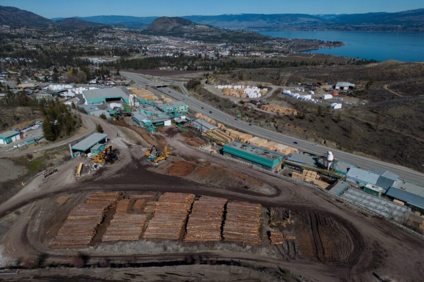 us-raises-anti-dumping-duties-on-canadian-softwood-to-20.56-percent
