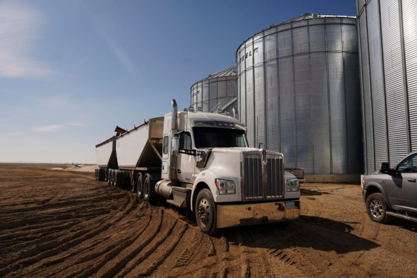 red-flags-and-canola-fields:-how-beijing-leverages-regional-economic-dependence-to-divide-canada