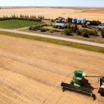 from-wheat-to-leverage:-how-the-ccp-exploits-canada’s-regional-fault-lines