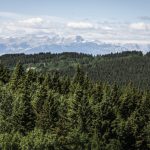 bc-search-and-rescue-team-find-hiker-in-his-70s-after-4-days-alone