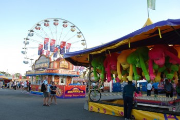 cne-receives-record-54,000-job-applications-as-youth-unemployment-continues-to-rise