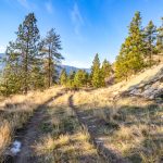 singing-camper-triggers-full-scale-rescue-effort-in-bc